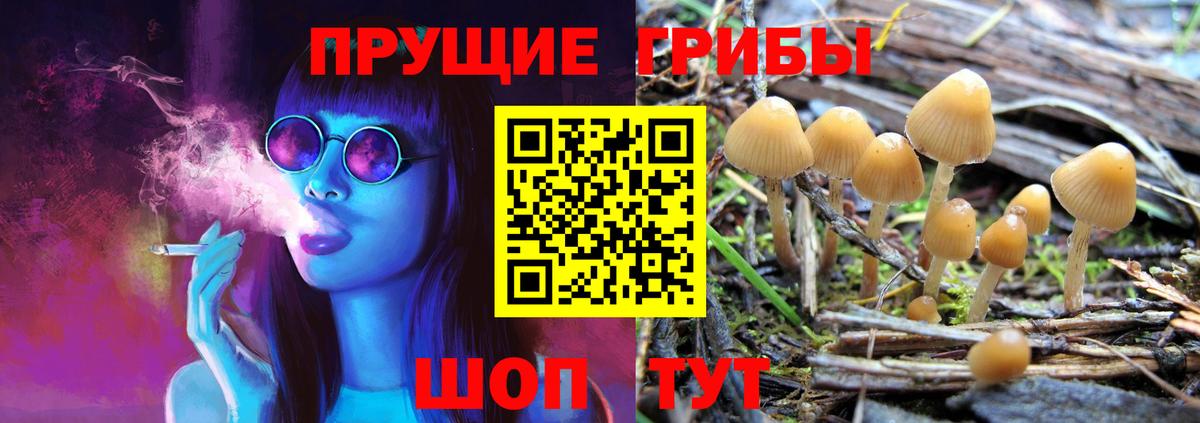 Галлюциногенные грибы мухоморы Назарово