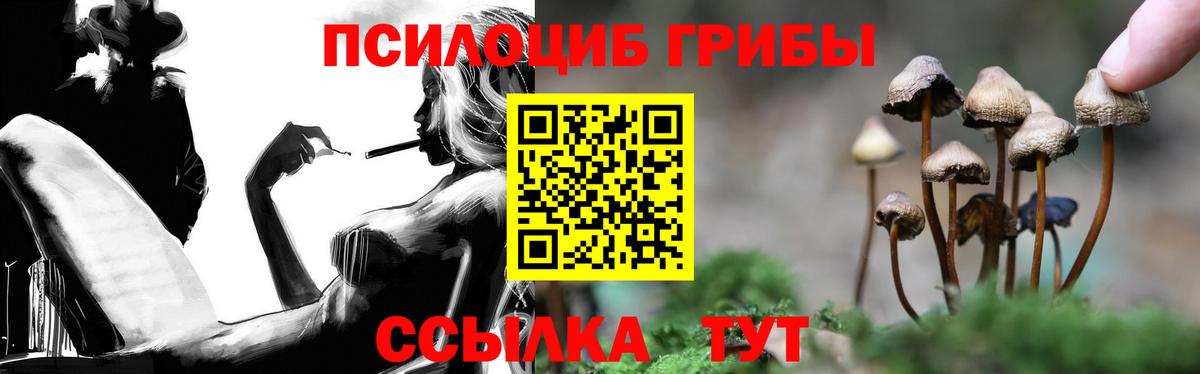 Псилоцибиновые грибы ЛСД  Псилоцибиновые грибы GOLDEN TEACHER  Назарово  Вход с VPN 